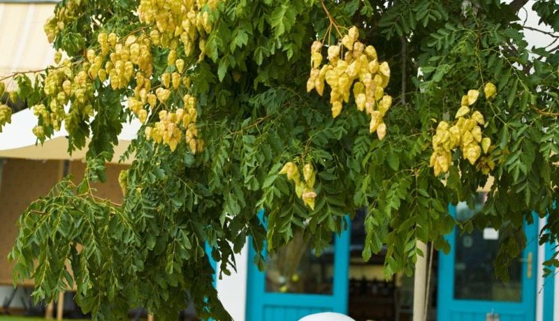 صورة الفندق 18