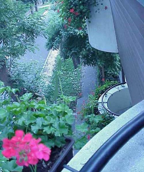 صورة الفندق 21