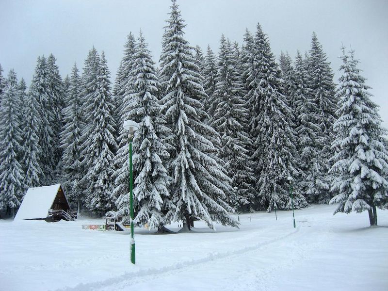 صورة الفندق 17