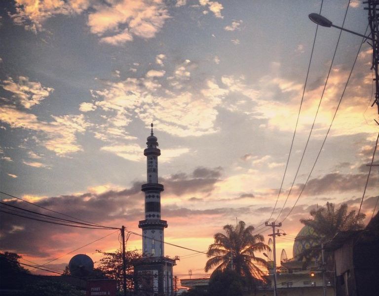 صورة الفندق 24