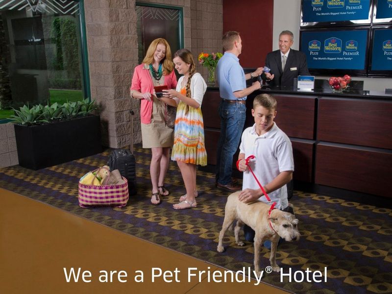 Hotel Photo 14