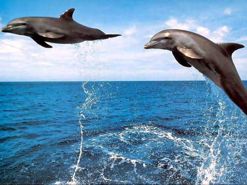 صورة الفندق 18