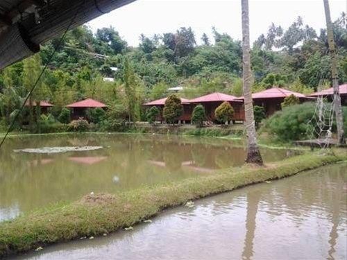 صورة الفندق 8