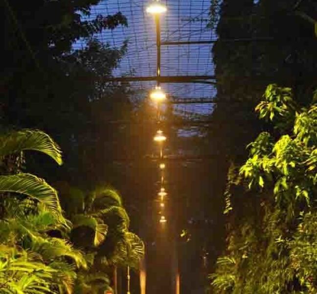 صورة الفندق 21