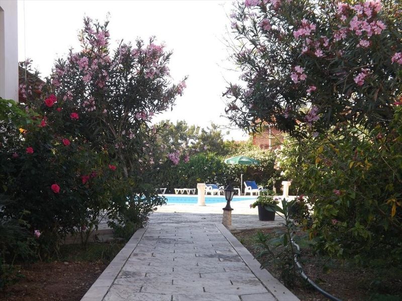 صورة الفندق 13