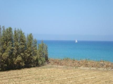 صورة الفندق 20