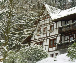 Modern Apartment in Sauerland with Balcony Schmallenberg Germany