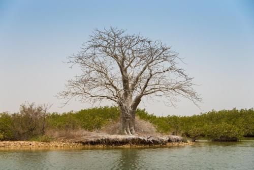 صورة الفندق 20