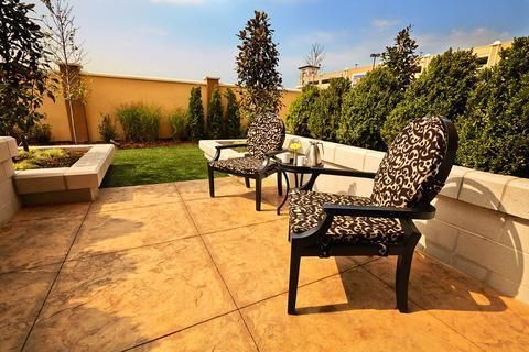 صورة الفندق 21