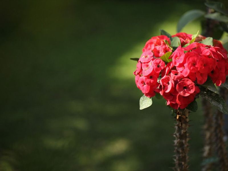صورة الفندق 15