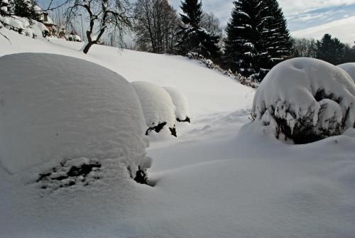صورة الفندق 24
