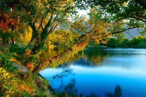 صورة الفندق 20