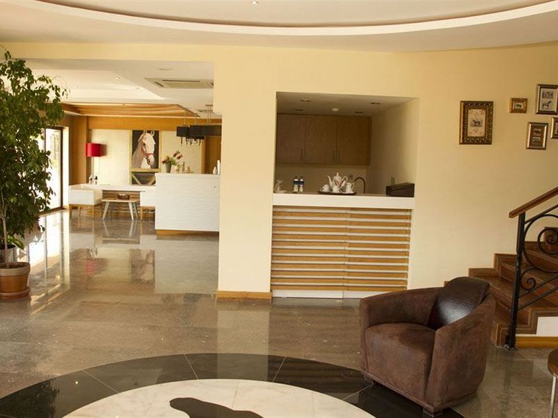 Hotel Photo 11