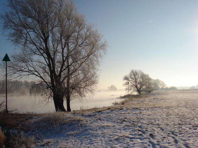 صورة الفندق 15