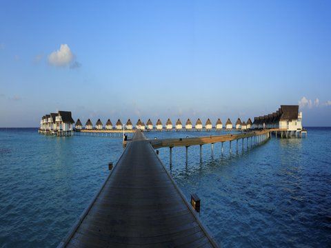 صورة الفندق 16