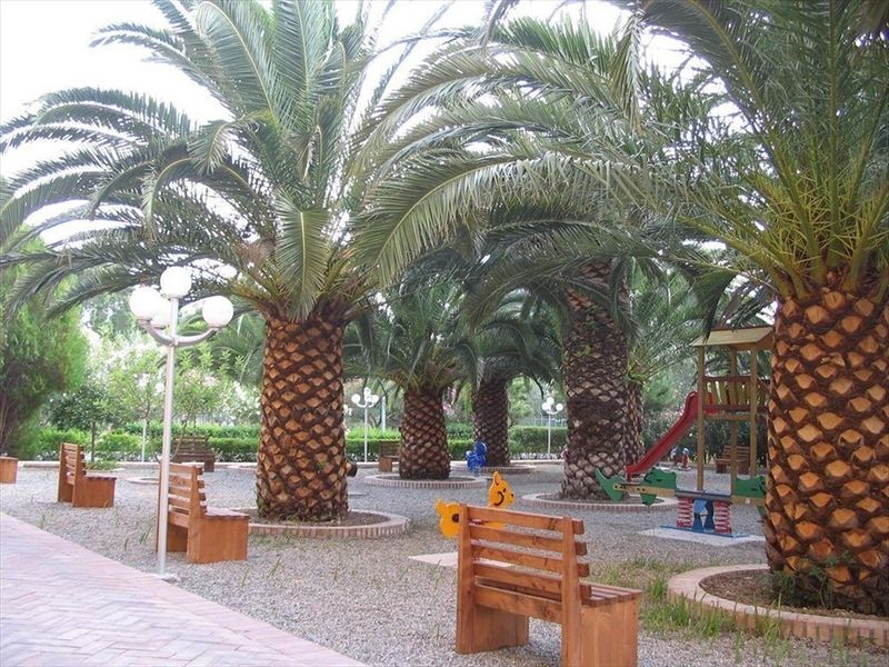 صورة الفندق 21