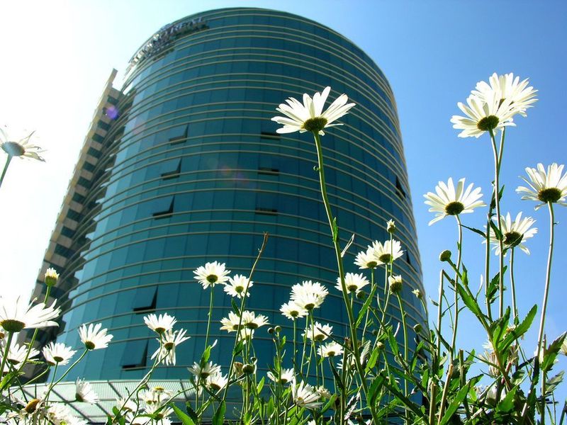 صورة الفندق 20