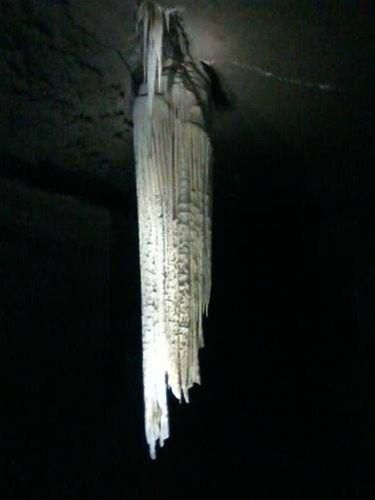 صورة الفندق 16