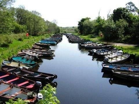 صورة الفندق 1