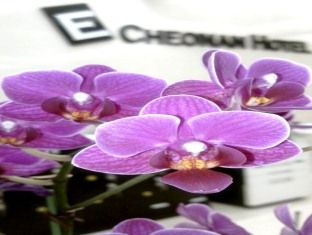 صورة الفندق 21