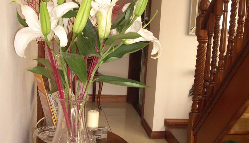 صورة الفندق 17