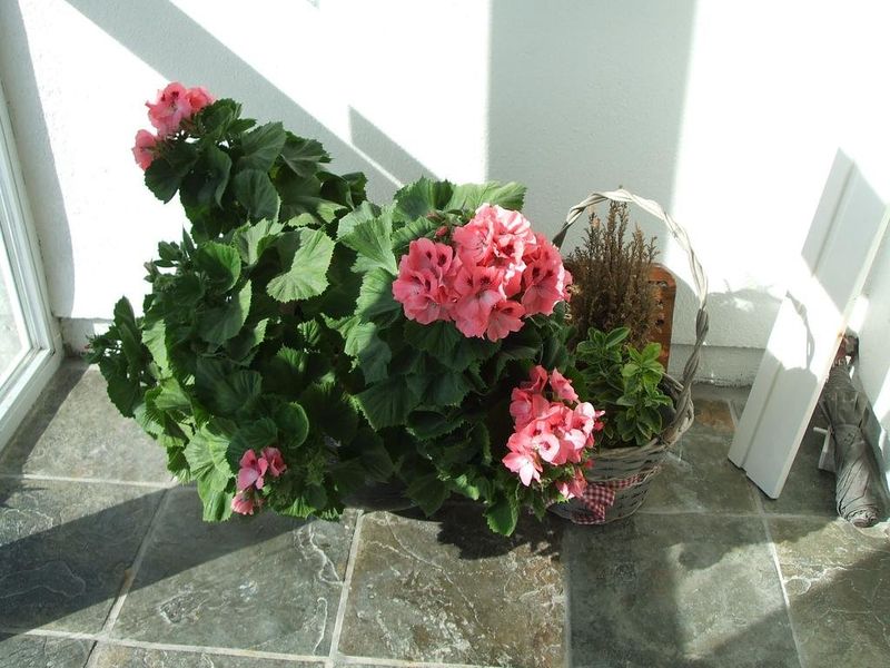 صورة الفندق 15