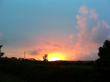صورة الفندق 1