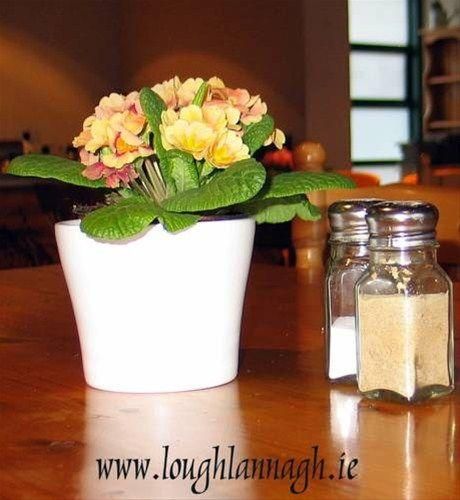 صورة الفندق 11