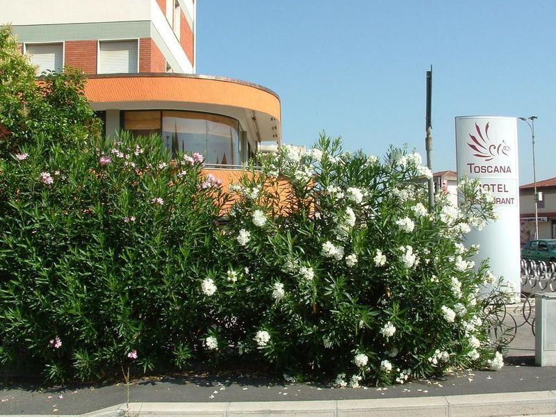 صورة الفندق 22