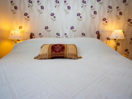 صورة الفندق 8
