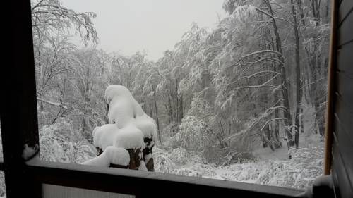 صورة الفندق 20
