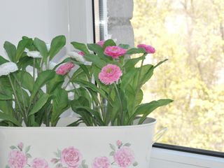 Отель Априори