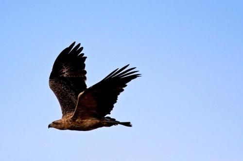 صورة الفندق 19
