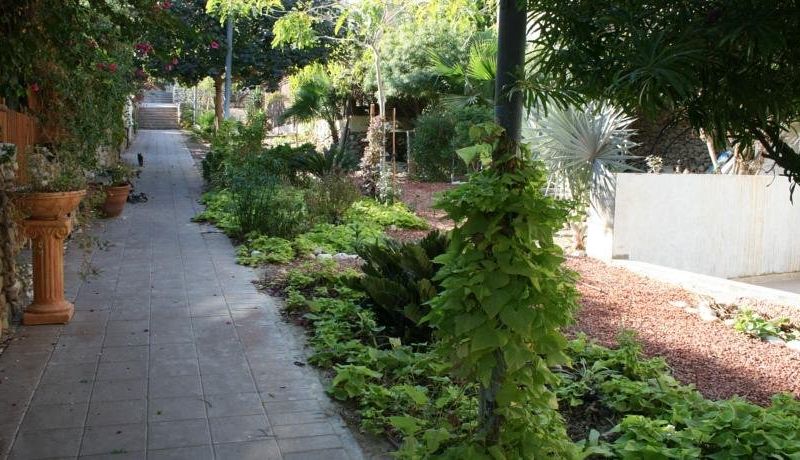 صورة الفندق 20