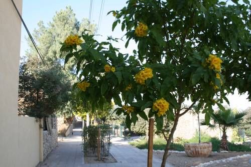 صورة الفندق 23