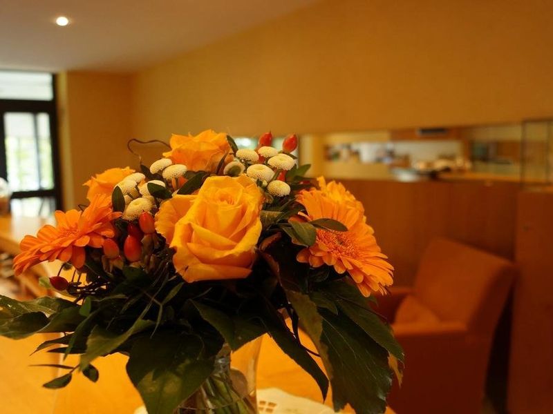 صورة الفندق 16