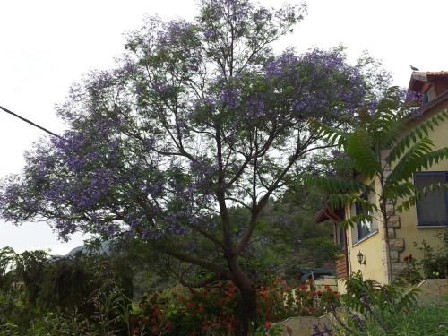 صورة الفندق 20