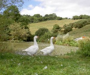 Highway Farm Bridport United Kingdom