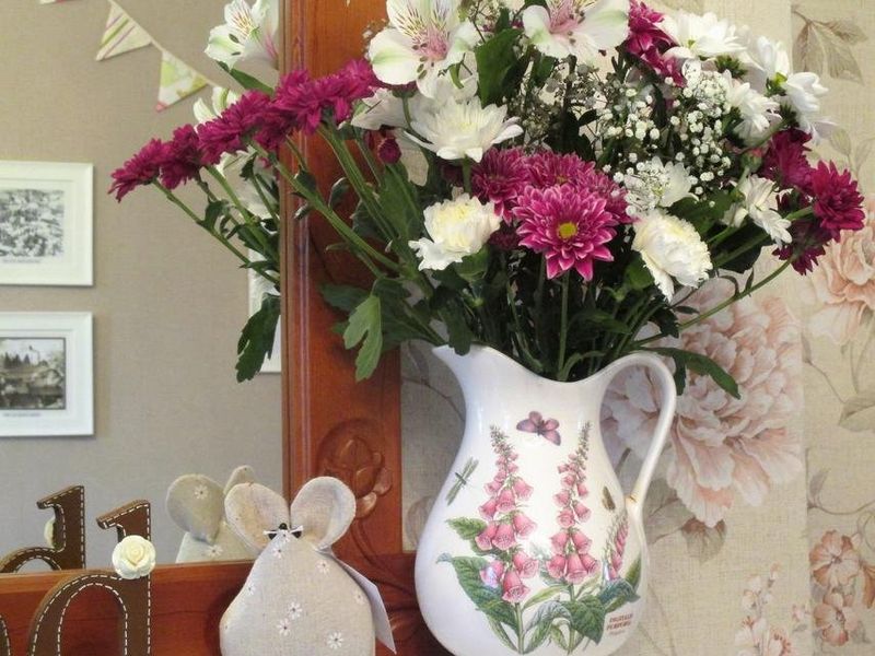 صورة الفندق 17