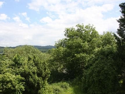 صورة الفندق 2