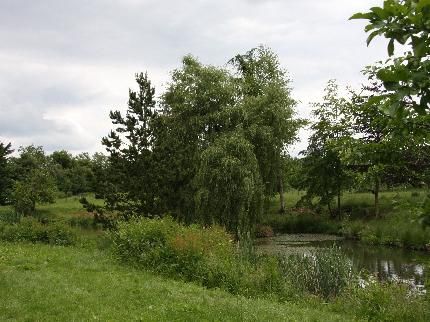 صورة الفندق 5