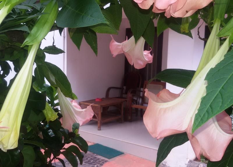 صورة الفندق 13