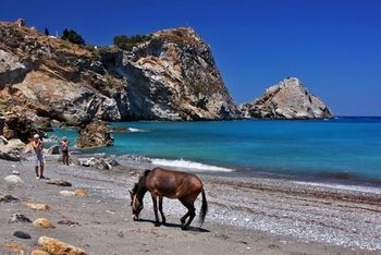 صورة الفندق 19