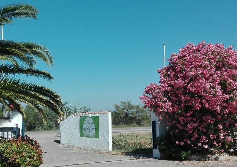 صورة الفندق 20