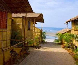 Dolphin Beach Resort Mandrem India