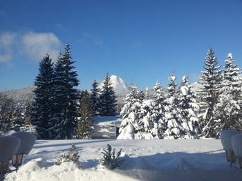 صورة الفندق 22