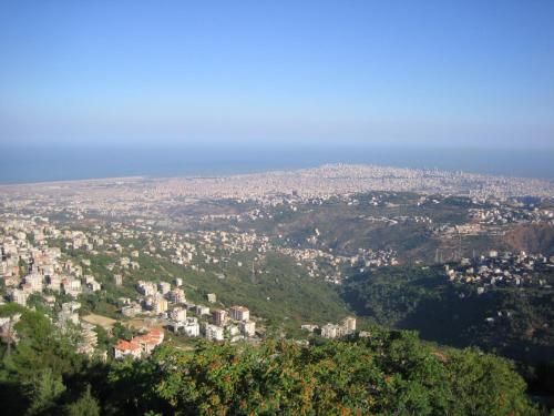 صورة الفندق 24