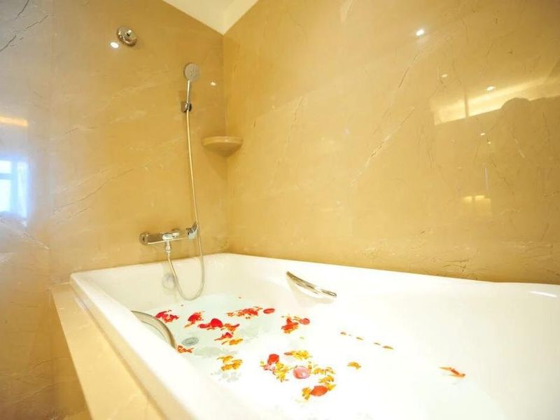 صورة الفندق 13