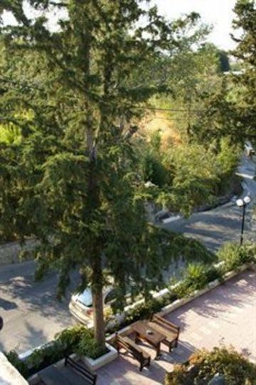 صورة الفندق 3