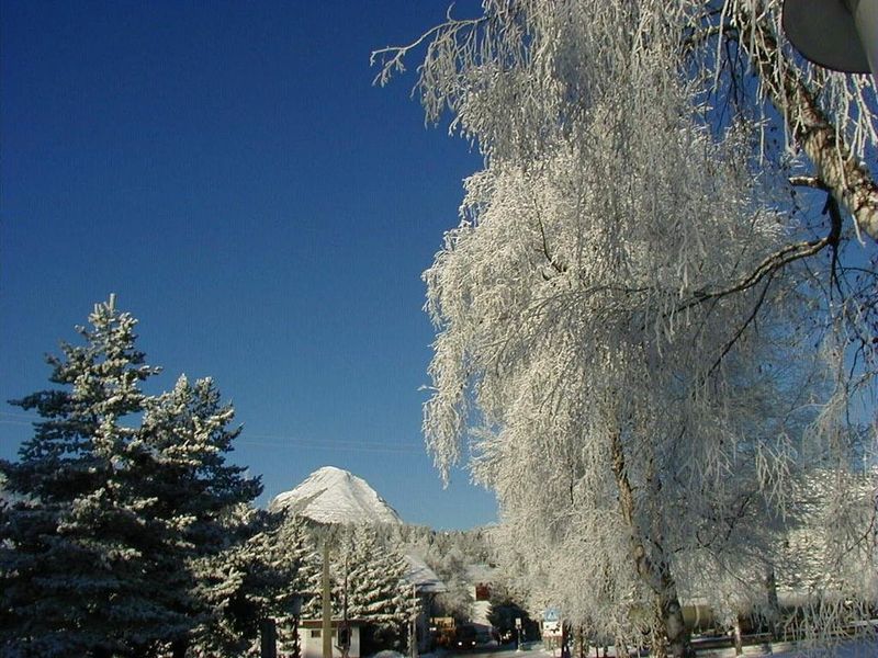 صورة الفندق 21